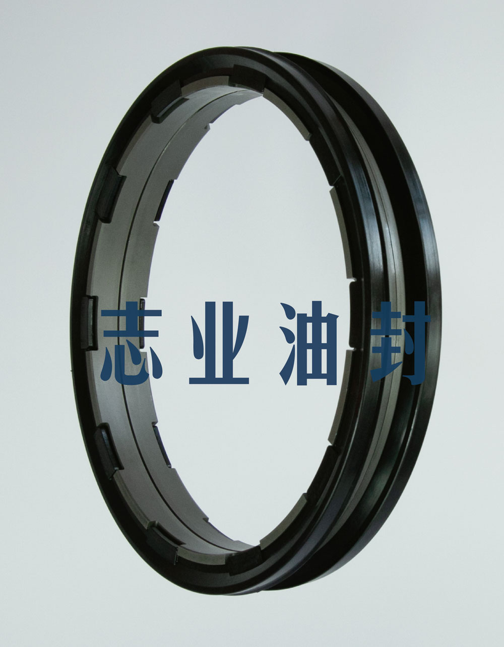 DF型浮動油封
